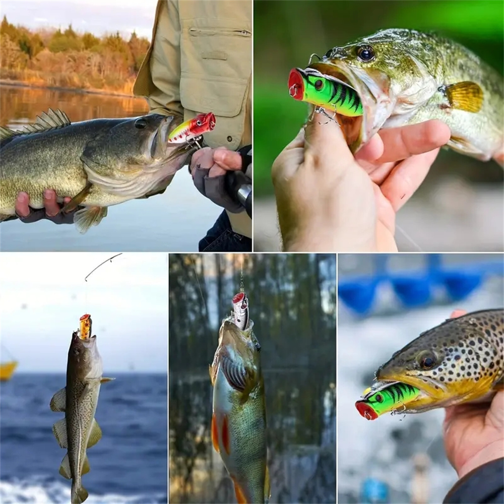 5Pcs Popper Fishing Lures 3d E - 3D Printing Lure 리뷰 및 가격